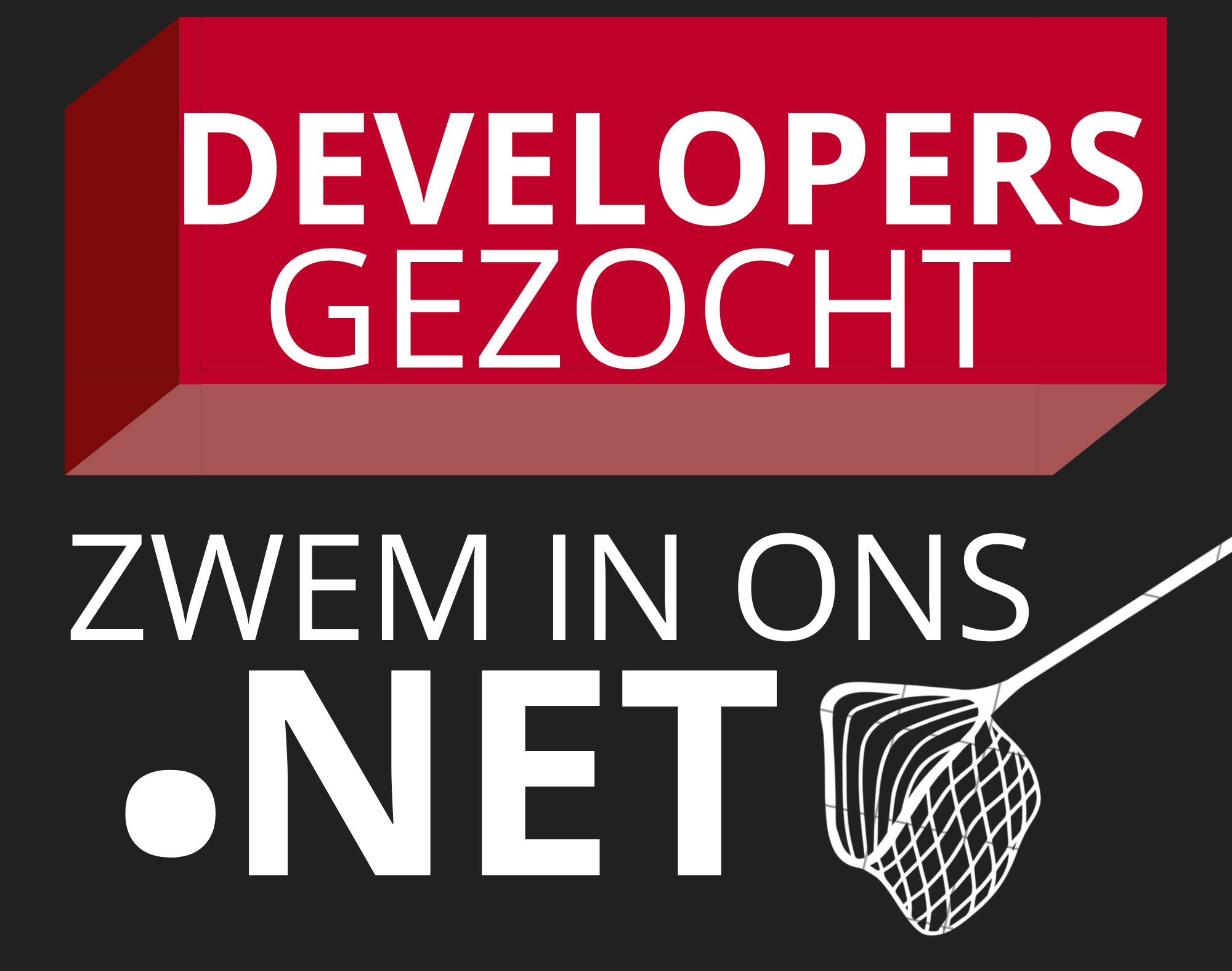 .net developer gezocht
